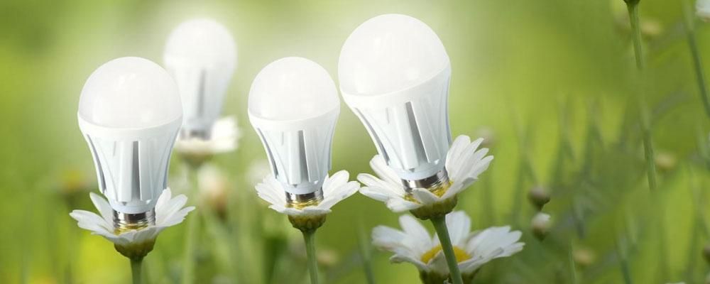 Everything You Need to Know about LEDs (and How to Choose)