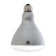 GE® 10w 700 lm 2700K E26 Base BR30 Lamp