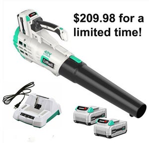 Litheli 40V Electric Leaf Blower & Two Batteries