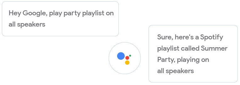 Ask Google Home questions or play music with your voice