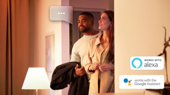 Control Philips Hue with a voice assistant