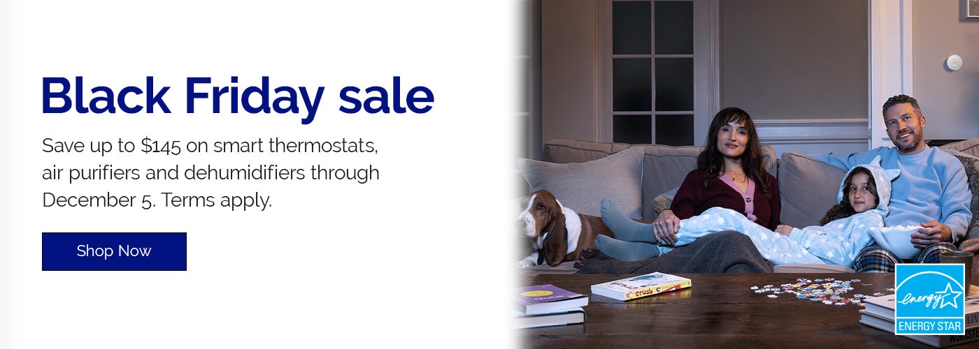 Shop the Black Friday Sale!