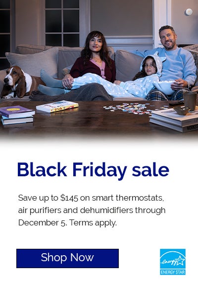 Shop the Black Friday Sale!